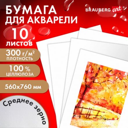 Бумага для акварели 300 г/м2 560x760 мм среднее зерно, 10 листов, BRAUBERG ART PREMIERE, 113238 Бумага для акварели 300 г/м2 560x760 мм среднее зерно, 10 листов, BRAUBERG ART PREMIERE, 113238