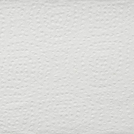 Полотенца бумажные д/дисп. Luscan Professional Zслож2слбелцел190л20пач/уп С Полотенца бумажные д/дисп. Luscan Professional Zслож2слбелцел190л20пач/уп С