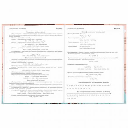 Дневник 5-11 класс 48 л., твердый, BRAUBERG, глянцевая ламинация, с подсказом, "Summer girl", 106882