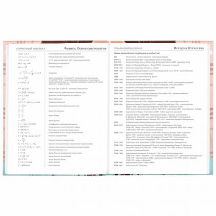 Дневник 5-11 класс 48 л., твердый, BRAUBERG, глянцевая ламинация, с подсказом, "Summer girl", 106882 Дневник 5-11 класс 48 л., твердый, BRAUBERG, глянцевая ламинация, с подсказом, "Summer girl", 106882