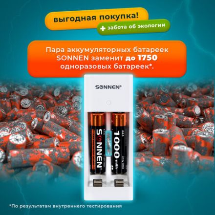 Зарядное устройство с аккумуляторами 2 шт. AAA (HR03), 1000 mAh, SONNEN BC2, в блистере, 455004 Зарядное устройство с аккумуляторами 2 шт. AAA (HR03), 1000 mAh, SONNEN BC2, в блистере, 455004