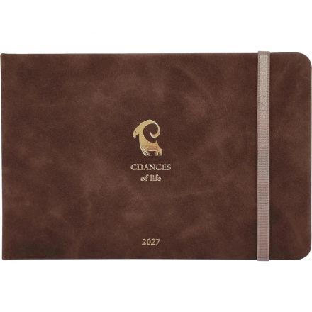 Еженедельник датированный 2027 IF 160x105 64л тверд с рез Шанс I2052/brown