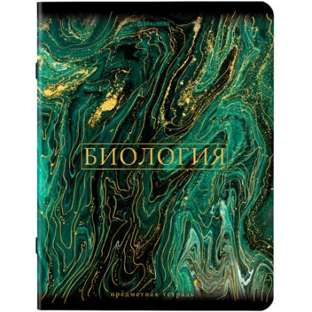 Тетради предметные, КОМПЛЕКТ 12 ПРЕДМЕТОВ, 48 л., SoftTouch, фольга, BRAUBERG, "MARBLE", 404326