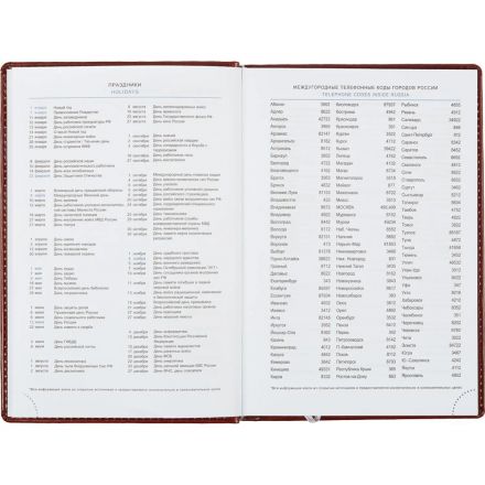 Ежедневник недатированный коричн, А5, 148x218, 352стр, Agenda