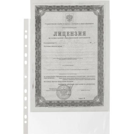 Файл-вкладыш А4 22-25мкм Выбор есть, гладкие, с перф, 100шт./уп