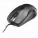 Мышь проводная GEMBIRD MUSOPTI9-905U, USB, 2 кнопки + 1 колесо-кнопка, оптическая, черная