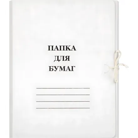 Папка для бумаг с завязками (мелованный картон 380 г/м²)