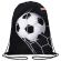Мешок для обуви ПИФАГОР, 1 отделение, 42х34 см, "Ball kick", 272386 Мешок для обуви ПИФАГОР, 1 отделение, 42х34 см, "Ball kick", 272386