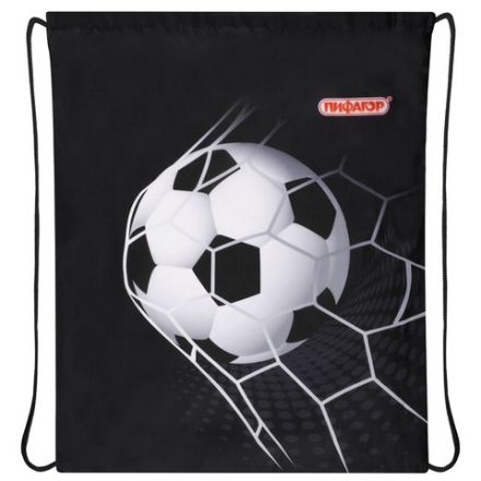 Мешок для обуви ПИФАГОР, 1 отделение, 42х34 см, "Ball kick", 272386 Мешок для обуви ПИФАГОР, 1 отделение, 42х34 см, "Ball kick", 272386