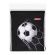 Мешок для обуви ПИФАГОР, 1 отделение, 42х34 см, "Ball kick", 272386 Мешок для обуви ПИФАГОР, 1 отделение, 42х34 см, "Ball kick", 272386