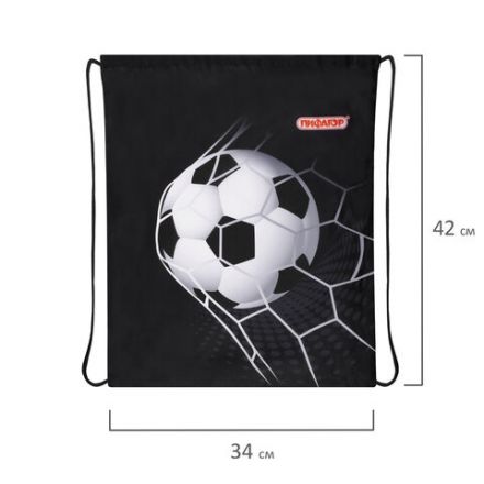 Мешок для обуви ПИФАГОР, 1 отделение, 42х34 см, "Ball kick", 272386 Мешок для обуви ПИФАГОР, 1 отделение, 42х34 см, "Ball kick", 272386