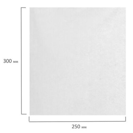 Салфетка одноразовая белая 25х30 см, КОМПЛЕКТ 100 шт., спанлейс, 40 г/м2, ЧИСТОВЬЕ, 00-146 Салфетка одноразовая белая 25х30 см, КОМПЛЕКТ 100 шт., спанлейс, 40 г/м2, ЧИСТОВЬЕ, 00-146