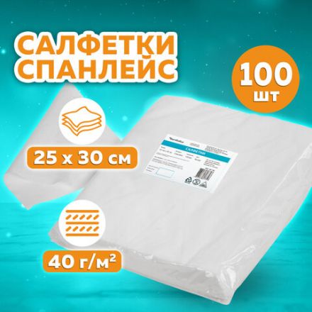 Салфетка одноразовая белая 25х30 см, КОМПЛЕКТ 100 шт., спанлейс, 40 г/м2, ЧИСТОВЬЕ, 00-146 Салфетка одноразовая белая 25х30 см, КОМПЛЕКТ 100 шт., спанлейс, 40 г/м2, ЧИСТОВЬЕ, 00-146