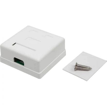 Розетка настенная TWT TWT-SM2-4545-WH 2 порта RJ-45 кат. 5е, UTP, белая