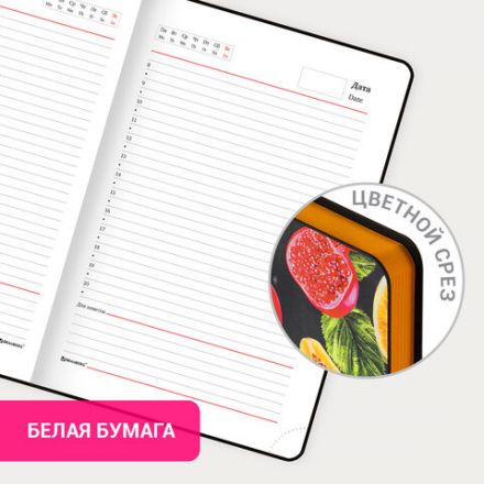 Ежедневник недатированный А5 (138х213 мм), BRAUBERG VISTA, под кожу, гибкий, 136 л., "Fruit story", 112024 Ежедневник недатированный А5 (138х213 мм), BRAUBERG VISTA, под кожу, гибкий, 136 л., "Fruit story", 112024