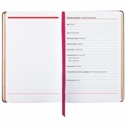 Ежедневник недатированный А5 (138х213 мм), BRAUBERG VISTA, под кожу, гибкий, 136 л., "Fruit story", 112024 Ежедневник недатированный А5 (138х213 мм), BRAUBERG VISTA, под кожу, гибкий, 136 л., "Fruit story", 112024