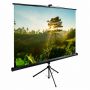 Экран Cactus TriExpert CS-PSTE-200x200-BK, 200x200 см, 1:1, напольный, черный Экран Cactus TriExpert CS-PSTE-200x200-BK, 200x200 см, 1:1, напольный, черный