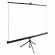 Экран Cactus TriExpert CS-PSTE-200x200-BK, 200x200 см, 1:1, напольный, черный Экран Cactus TriExpert CS-PSTE-200x200-BK, 200x200 см, 1:1, напольный, черный
