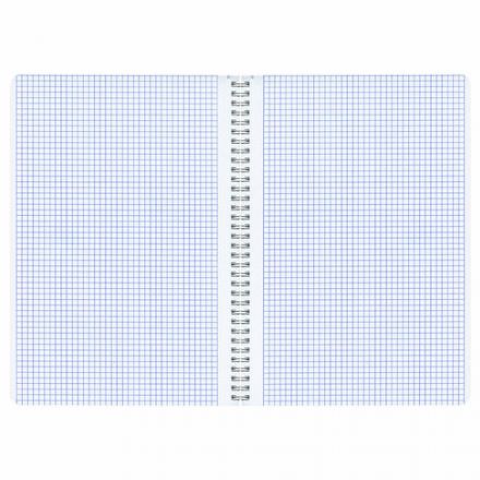 Тетрадь А4, 96 л., BRAUBERG, гребень, клетка, глянцевый лак, "Гранаты" (микс в спайке), 405314 Тетрадь А4, 96 л., BRAUBERG, гребень, клетка, глянцевый лак, "Гранаты" (микс в спайке), 405314