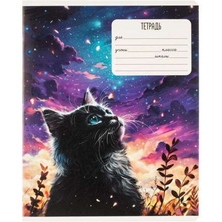 Тетрадь 24л., клетка,А5+ МЕЧТЫ КОТА,ассортимент 68536