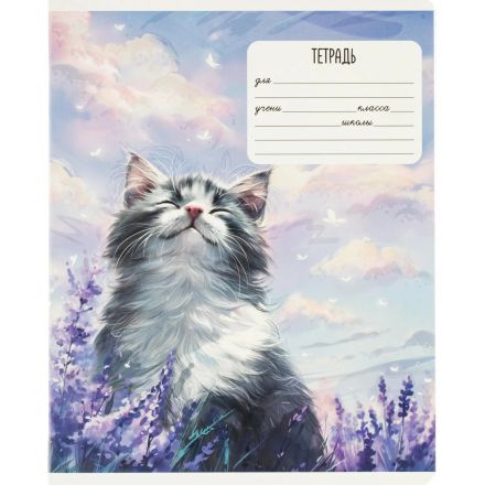 Тетрадь 24л., клетка,А5+ МЕЧТЫ КОТА,ассортимент 68536