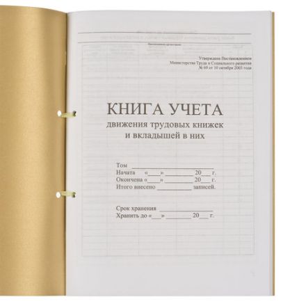 Книга учета движения трудовых книжек и вкладышей к ним, 32 л., сшивка, плобма, обложка ПВХ, 130203, КД-01