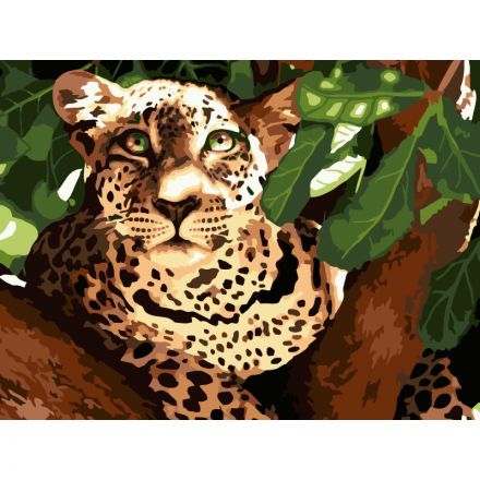 Картина по номерам Леопард Кпн-007