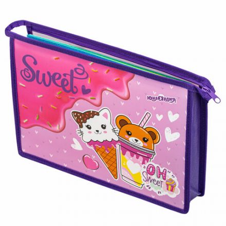 Папка для тетрадей ЮНЛАНДИЯ А4, 1 отделение, пластик, на молнии, "Candy friends", 272139