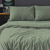 Постельное белье Евро Поплин гл/кр (нав.50х70-2шт), Лавровый лист,299950 Постельное белье Евро Поплин гл/кр (нав.50х70-2шт), Лавровый лист,299950