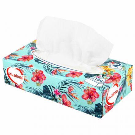 Салфетки косметические 100 шт. в картонном боксе 2-слойные, LAIMA "Everyday", 20х20 см, 113588 Салфетки косметические 100 шт. в картонном боксе 2-слойные, LAIMA "Everyday", 20х20 см, 113588