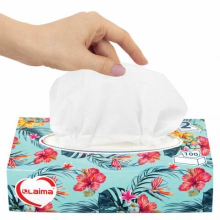 Салфетки косметические 100 шт. в картонном боксе 2-слойные, LAIMA "Everyday", 20х20 см, 113588 Салфетки косметические 100 шт. в картонном боксе 2-слойные, LAIMA "Everyday", 20х20 см, 113588