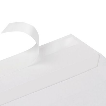 Конверты С4 (229х324 мм), отрывная лента, 100 г/м2, КОМПЛЕКТ 50 шт., BRAUBERG, 112184 Конверты С4 (229х324 мм), отрывная лента, 100 г/м2, КОМПЛЕКТ 50 шт., BRAUBERG, 112184