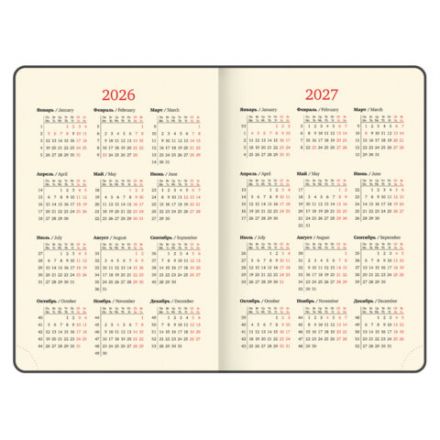 Ежедневник датированный 2026, А5, 143х218 мм, BRAUBERG "Journal", под кожу, застежка, держатель для ручки, органайзер, серый, 117381