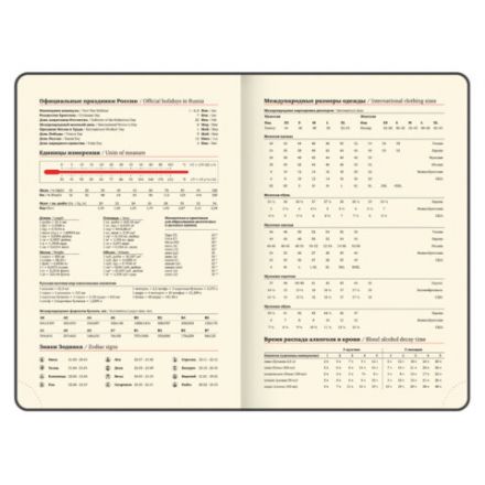 Ежедневник датированный 2026, А5, 143х218 мм, BRAUBERG "Journal", под кожу, застежка, держатель для ручки, органайзер, серый, 117381