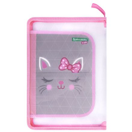 Папка для труда на молнии BRAUBERG KIDS А4, 1 отделение, прозрачная, органайзер, "Tiny cutie", 273397 Папка для труда на молнии BRAUBERG KIDS А4, 1 отделение, прозрачная, органайзер, "Tiny cutie", 273397