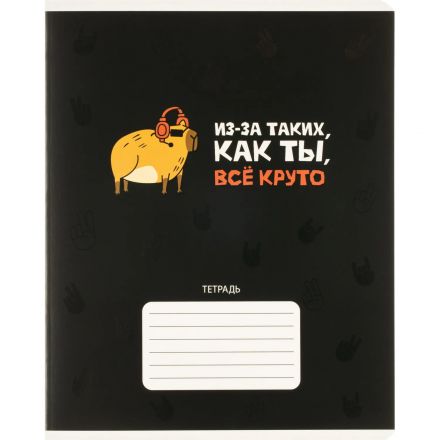 Тетрадь 24л., клетка,А5+ С ХАРАКТЕРОМ,ассортимент 70913