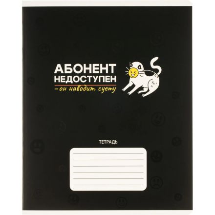 Тетрадь 24л., клетка,А5+ С ХАРАКТЕРОМ,ассортимент 70913