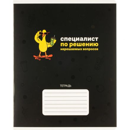 Тетрадь 24л., клетка,А5+ С ХАРАКТЕРОМ,ассортимент 70913
