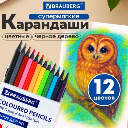 Карандаши цветные BRAUBERG, 12 цветов, шестигранные, грифель 3,3 мм, черное дерево, 181856 Карандаши цветные BRAUBERG, 12 цветов, шестигранные, грифель 3,3 мм, черное дерево, 181856