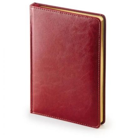 Ежедневник датированный 2026 А5+ SIDNEY NEBRASKA борд, золот обрез 3-125/01 Ежедневник датированный 2026 А5+ SIDNEY NEBRASKA борд, золот обрез 3-125/01