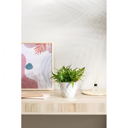 Горшок д/цветов Laurel D175мм, 2,3л с поддоном (белый), 221610929 Горшок д/цветов Laurel D175мм, 2,3л с поддоном (белый), 221610929