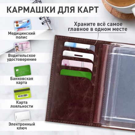 Обложка для автодокументов натуральная кожа пулап, 3D герб + тиснение, темно-коричневая, BRAUBERG, 238195 Обложка для автодокументов натуральная кожа пулап, 3D герб + тиснение, темно-коричневая, BRAUBERG, 238195