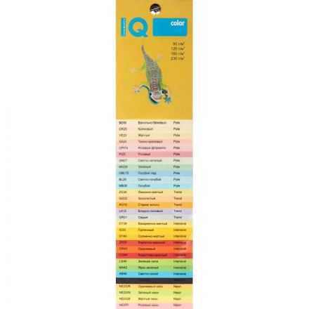 Бумага цветная IQ COLOR (А4,80г,BE66-ванильно-бежевый) пачка 500л.