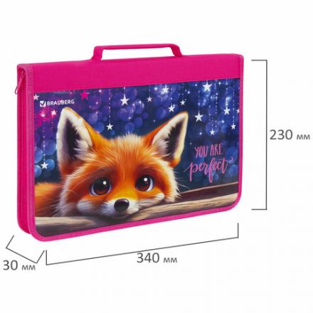Папка на молнии BRAUBERG А4 с ручкой, с органайзером, 1 отделение, "Cute fox", 272217