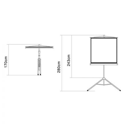 Экран Digis DSKD-1106 мобильный 1:1, 200х200 Экран Digis DSKD-1106 мобильный 1:1, 200х200