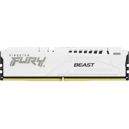 Модуль памяти Kingston FURY White DDR5 DIMM 16GB 5600Мгц(KF556C36BWE-16) Модуль памяти Kingston FURY White DDR5 DIMM 16GB 5600Мгц(KF556C36BWE-16)