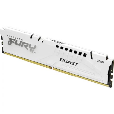 Модуль памяти Kingston FURY White DDR5 DIMM 16GB 5600Мгц(KF556C36BWE-16) Модуль памяти Kingston FURY White DDR5 DIMM 16GB 5600Мгц(KF556C36BWE-16)