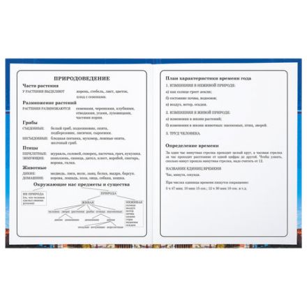 Дневник 1-4 класс 48 л., твердый, BRAUBERG, глянцевая ламинация, с подсказом, "Российский", 106832 Дневник 1-4 класс 48 л., твердый, BRAUBERG, глянцевая ламинация, с подсказом, "Российский", 106832