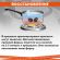 Шторка солнцезащитная 150х80 см для лобового стекла автомобиля, на присосках, DASWERK (ДАСВЕРК), 671253
