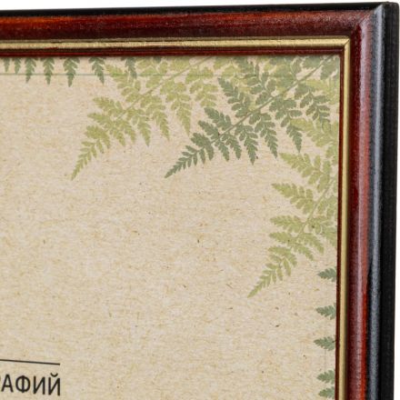 Рамка Attache А4 21x30 см деревянный багет 17 мм коньяк Рамка Attache А4 21x30 см деревянный багет 17 мм коньяк
